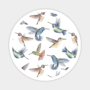 Hummingbirds Magnet